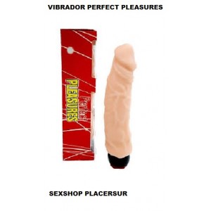 http://www.sexshopplacersur2.cl/930-1880-thickbox/vibrador-perfect-pleasure.jpg